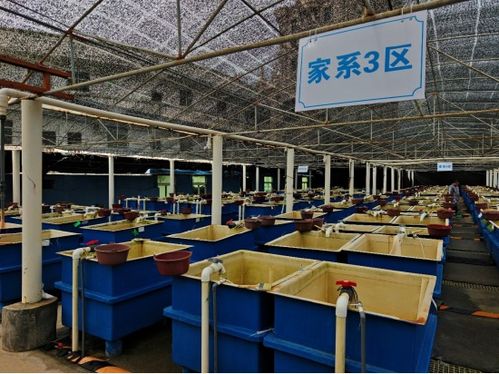 廈門市海洋與水產學會海洋文化與科普專業(yè)委員會晉江圍頭調研